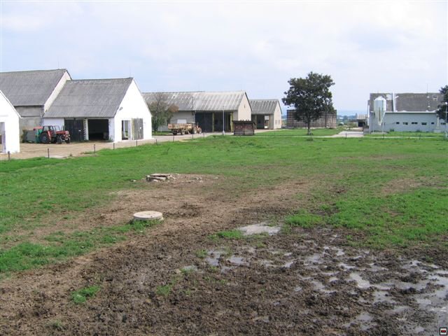 Troubelice 2006 044.jpg